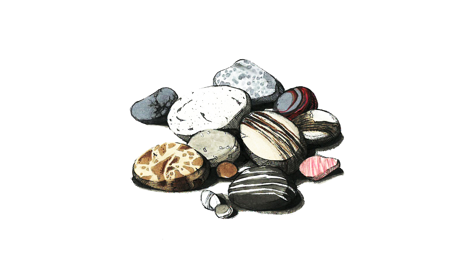 pebble illustration-01